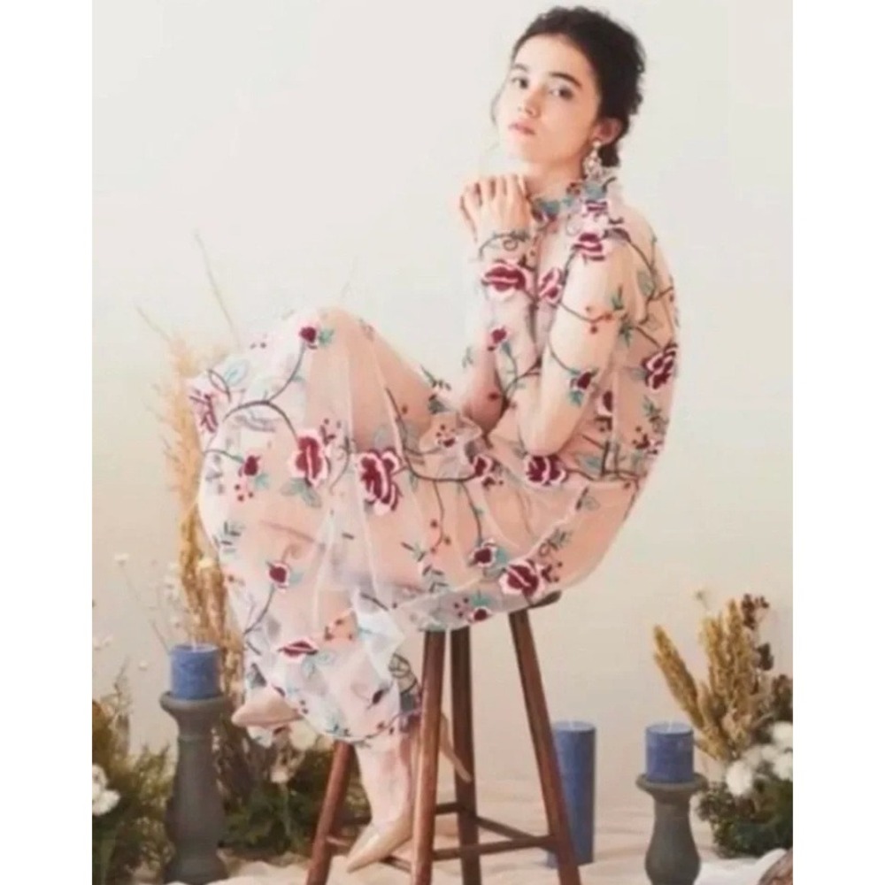 NEW Endless Rose Embroidered Floral Mesh Midi Dress Long Sleeve Sheer Size S